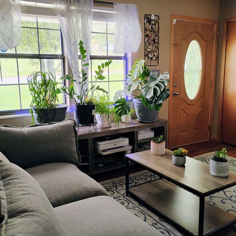 roommates in Undisclosed, Rogersville, TN 37857 Quiet Master Suite | Half Bath + Smart TV + Laundry (id. 21006) - cirtru.com