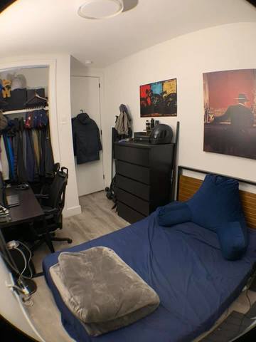 roommates in Queens Private Room in 3Bed.1Bath - cirtru.com