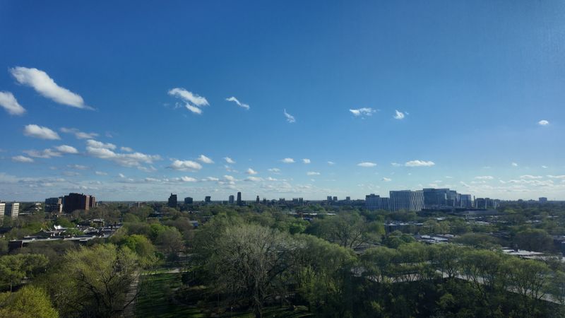 roommates in Chicago Entire Place 1Bed.1Bath - cirtru.com