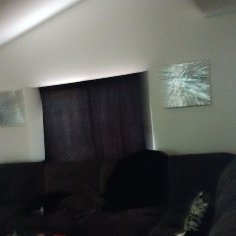 Private Room in 3Bed.2Bath