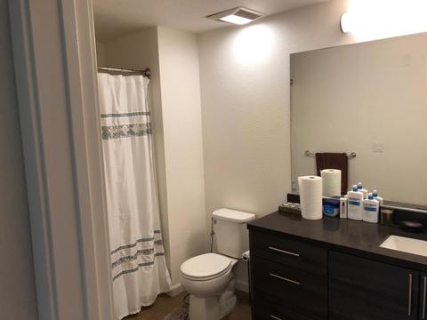roommates in San Jose 2B2B FULLY FURNISHED APARTMENT - cirtru.com
