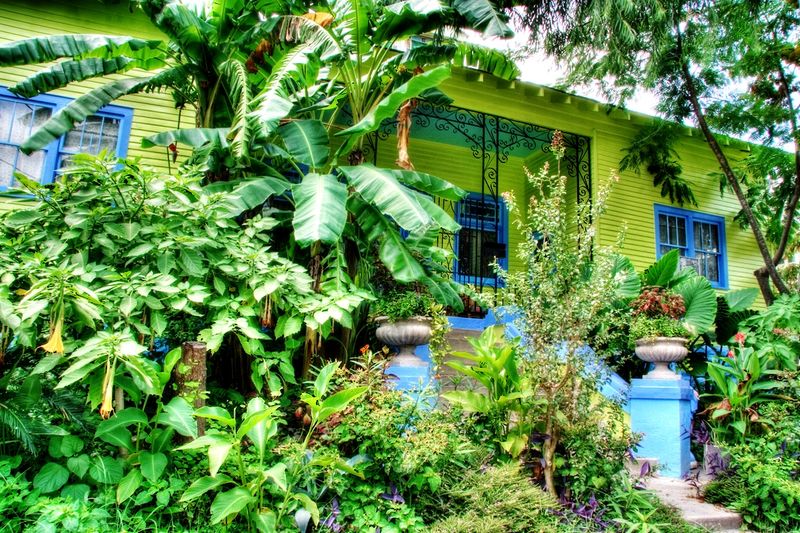 roommates in New Orleans Entire Place 2Bed.2Bath - cirtru.com