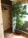 Private Room in 1Bed.1Bath
