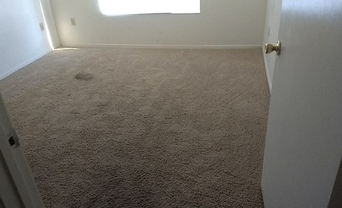 roommates in Phoenix Roommate for a single room - cirtru.com