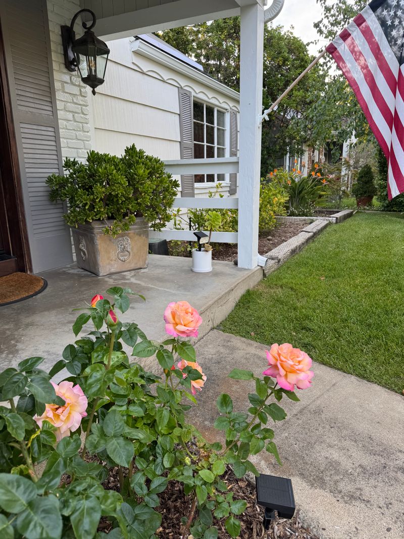 roommates in Los Altos Room4Bed.3.5Bath - cirtru.com