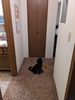 Private Room in 2Bed.1Bath