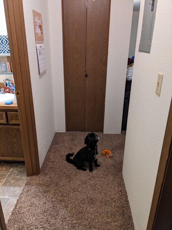 Private Room in 2Bed.1Bath