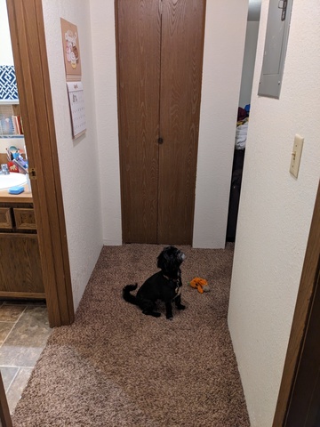 roommates in Boise Private Room in 2Bed.1Bath - cirtru.com