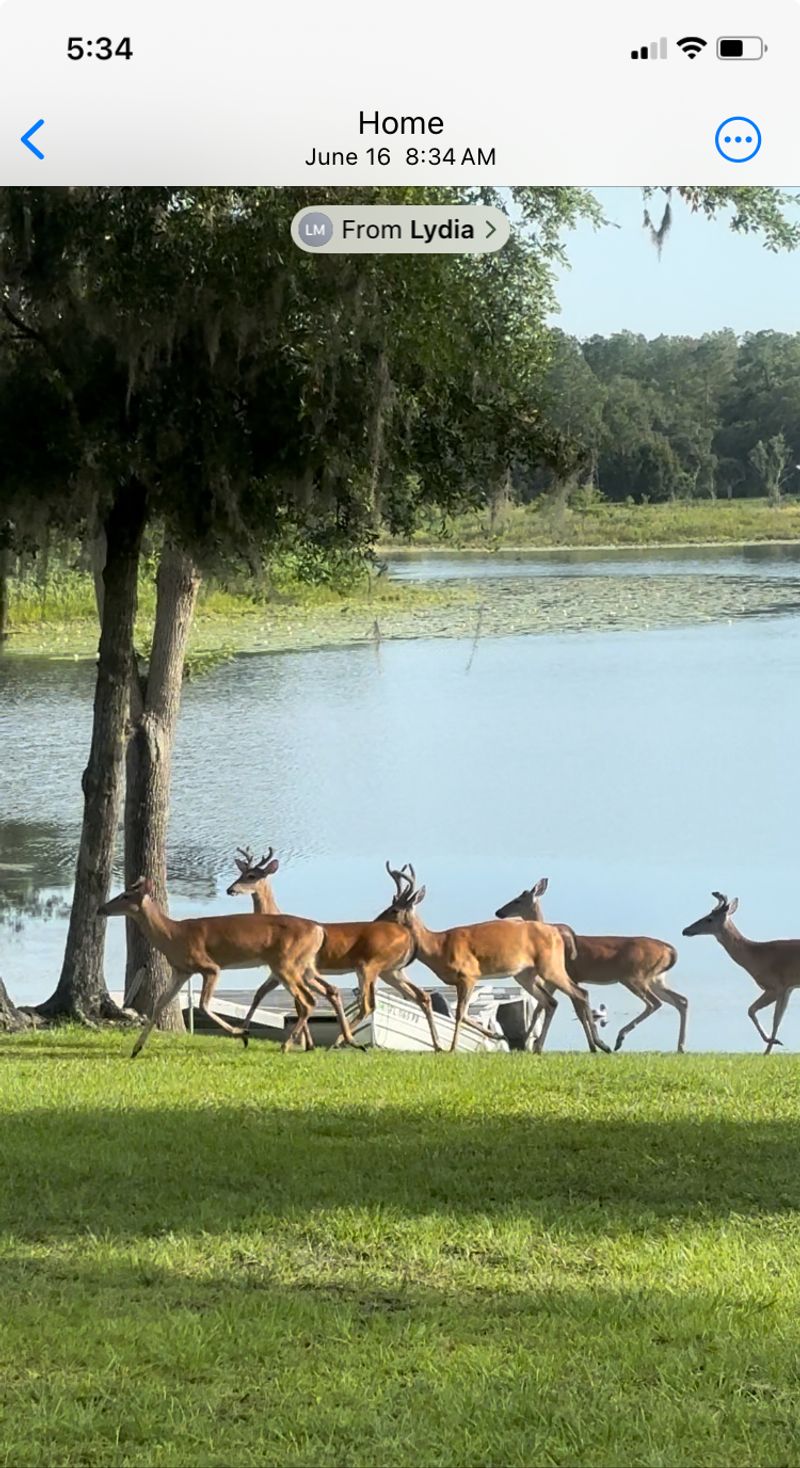 roommates in Dunnellon Private Room in 3Bed.2Bath - cirtru.com