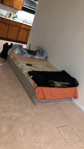 roommates in Queens Private Room in 1Bed.1Bath - cirtru.com