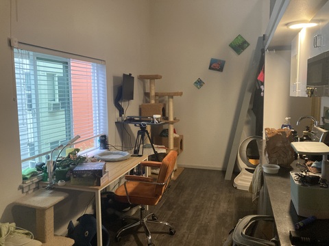 roommates in Seattle Entire Place 1Bed.1Bath - cirtru.com