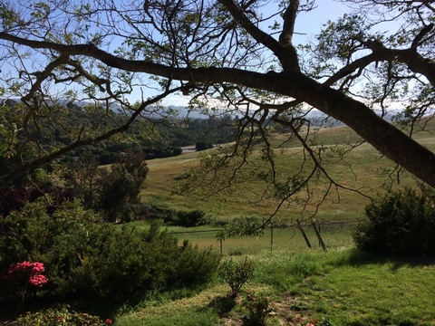 roommates in Los Altos Hills private rm, gorgeous house - cirtru.com
