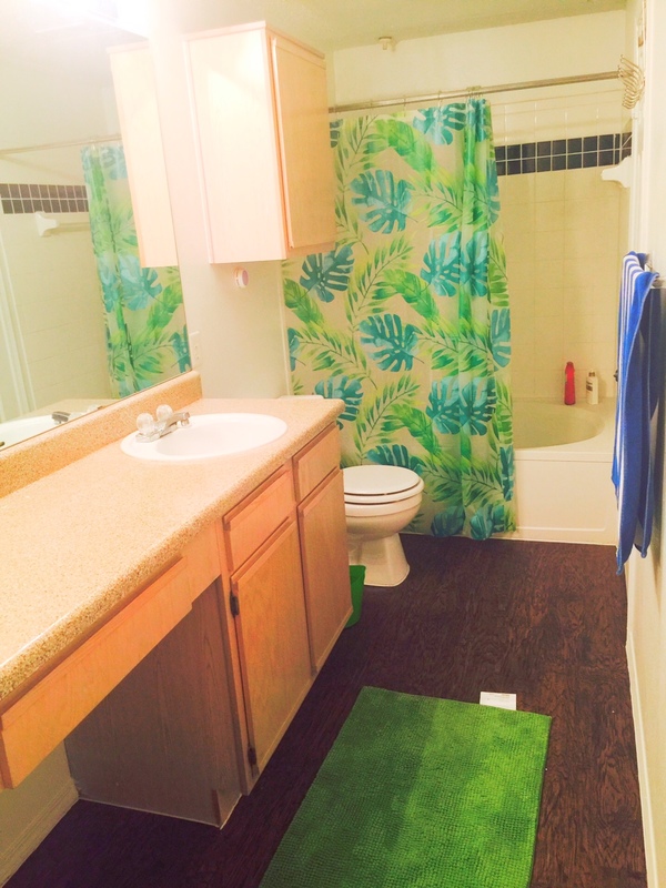 Tastefully furnished 1 bhk