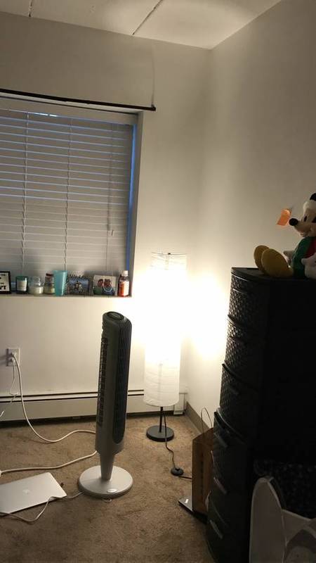 1 Room for Rent in Waltham