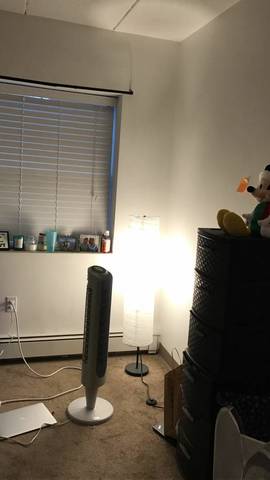 roommates in Waltham 1 Room for Rent in Waltham - cirtru.com