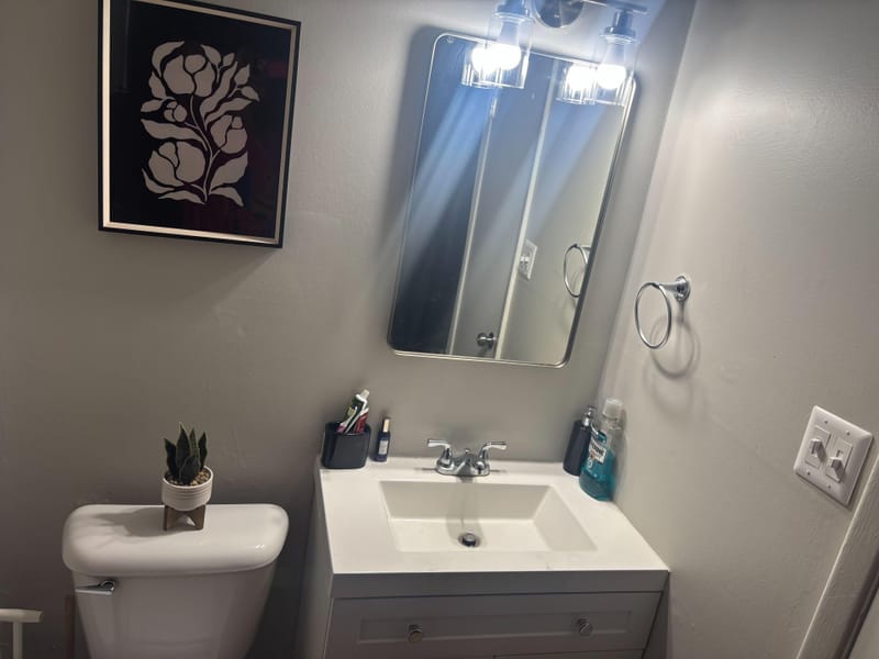 roommates in Undisclosed, Atlanta, GA 30311 Coolest Pad (id. 38712) - cirtru.com