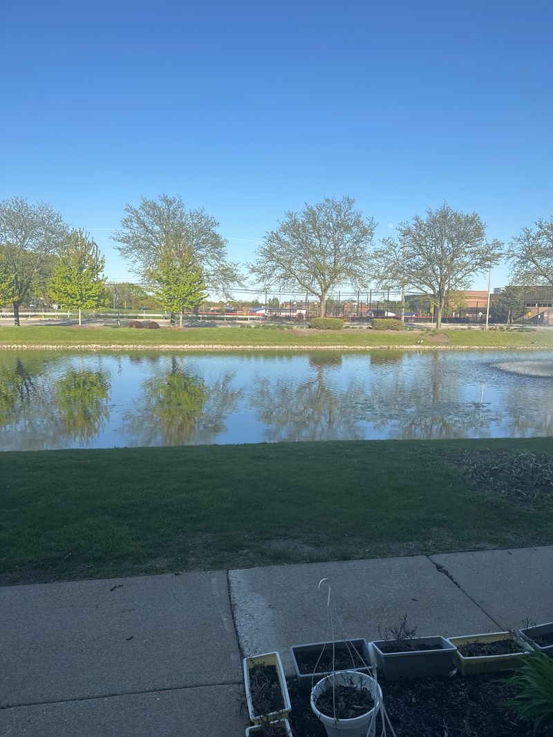 roommates in Arlington Heights Private Room in 2Bed.2Bath - cirtru.com