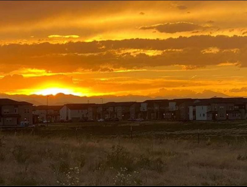 roommates in Denver Private Room in 2Bed.1Bath - cirtru.com