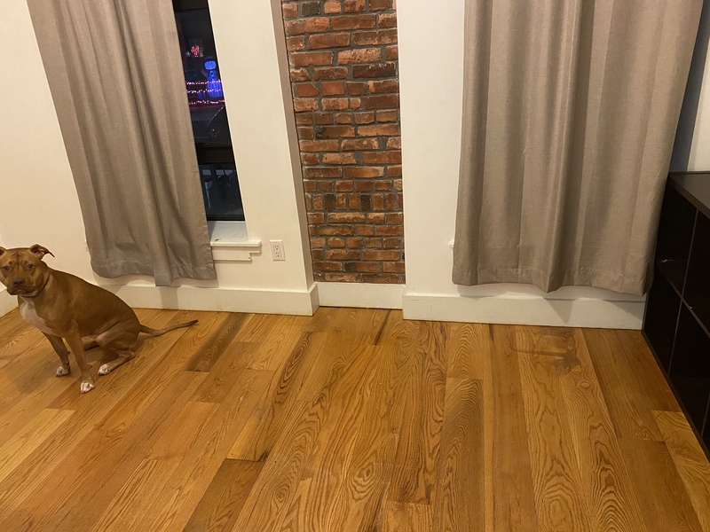 Private Room in Renovated Apartment