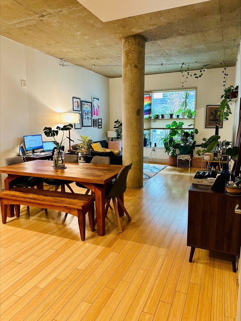 roommates in Washington Entire Place 1Bed.1Bath - cirtru.com