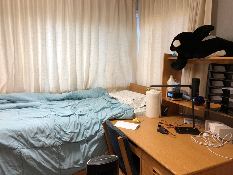 Looking for Dorm Mate