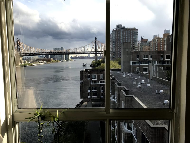 Room on beautiful Roosevelt Island