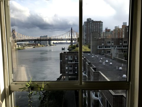 roommates in New York Room on beautiful Roosevelt Island - cirtru.com