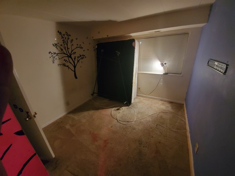 roommates in Washington Private Room in 3Bed.1Bath - cirtru.com