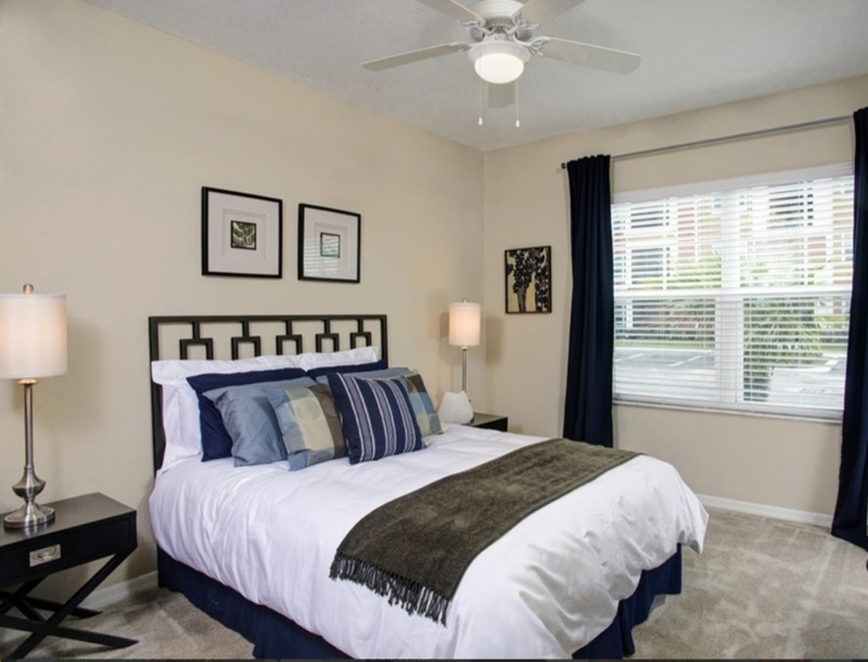 New Apt/Amazing location