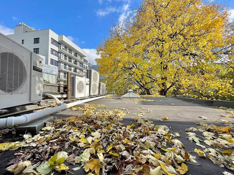 roommates in New York City Entire Place 1Bed.1Bath - cirtru.com
