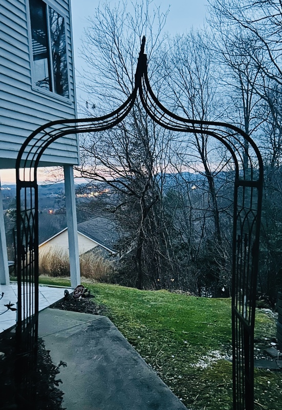 roommates in Fletcher Entire Place 1Bed.1Bath - cirtru.com