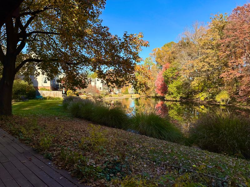 roommates in McLean Entire Place 2Bed.1Bath - cirtru.com