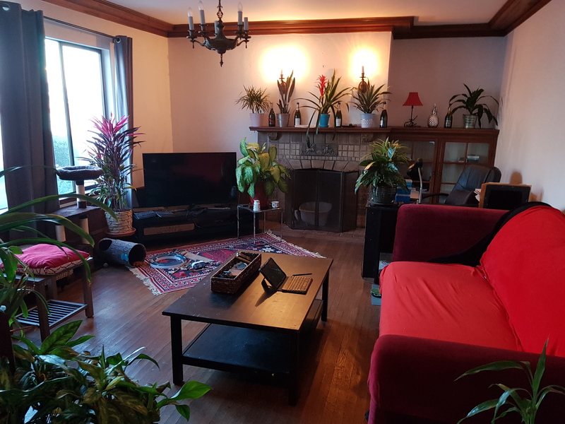 Private Room in 3Bed.1Bath