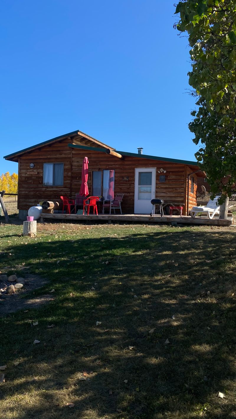 roommates in Corvallis Entire Place 1Bed.1Bath - cirtru.com