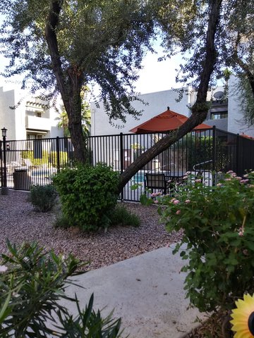 roommates in Scottsdale Private Room in 2Bed.2Bath - cirtru.com