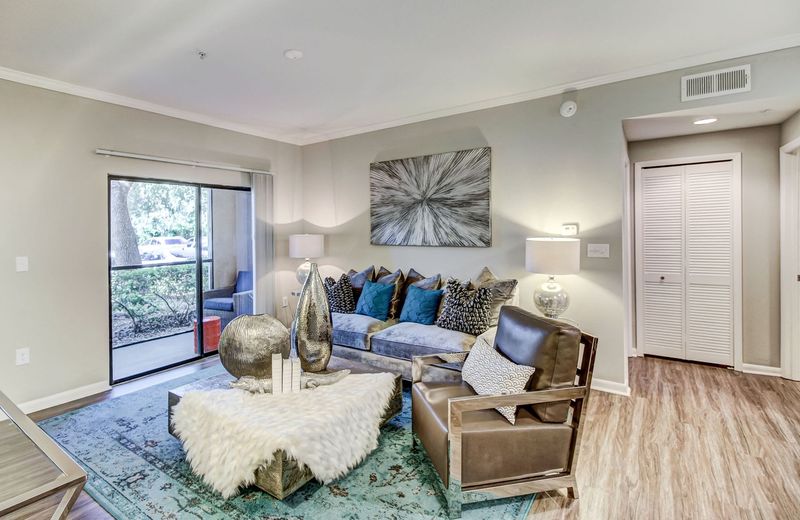 roommates in Tampa Entire Place 1Bed.1Bath - cirtru.com