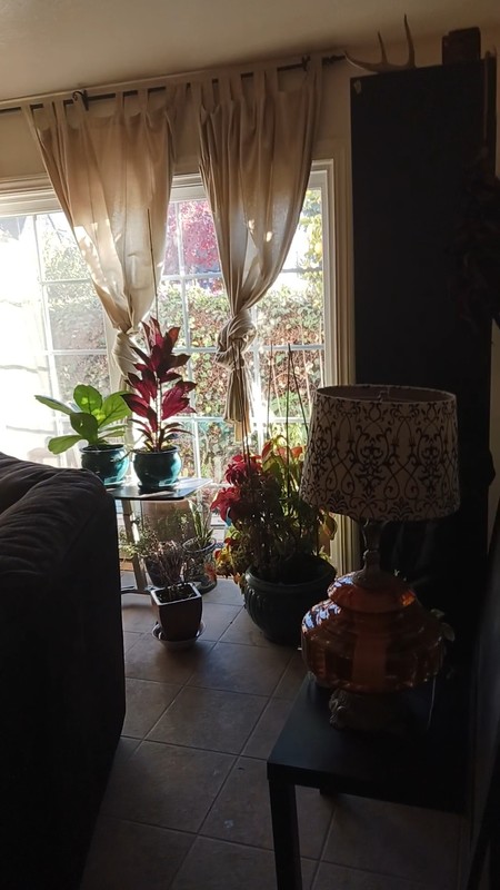 Shared Room in 2Bed.1Bath