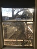 Private Room in 4Bed.1Bath