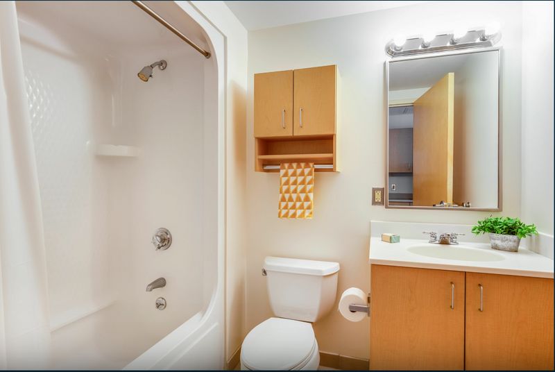 roommates in Boston Entire Place 1Bed.1Bath - cirtru.com