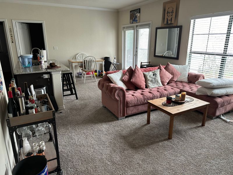 roommates in Austin Entire Place 1Bed.1Bath - cirtru.com