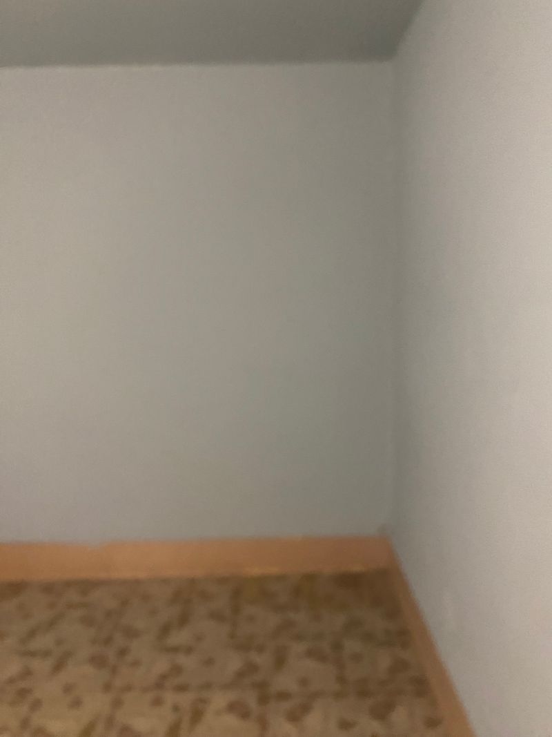 roommates in Nanticoke Private Room in 3Bed.1Bath - cirtru.com