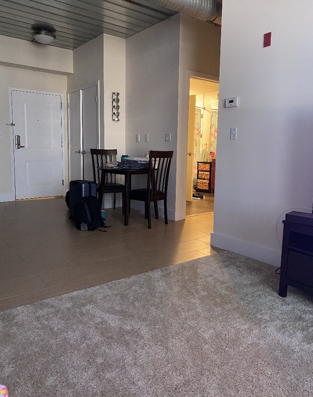roommates in Baltimore Entire Place 1Bed.1Bath - cirtru.com