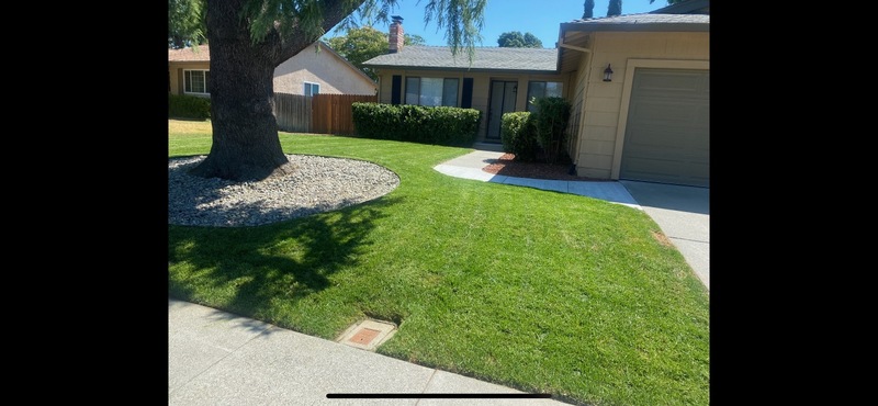 roommates in Vacaville Private Room in 4Bed.2Bath - cirtru.com