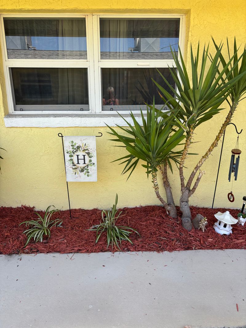 roommates in Cocoa Beach Private Room in 1Bed.1Bath - cirtru.com