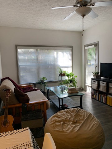 roommates in Atlanta Entire Place 1Bed.1Bath - cirtru.com