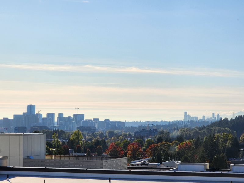 roommates in Redmond Entire Place 1Bed.1Bath - cirtru.com