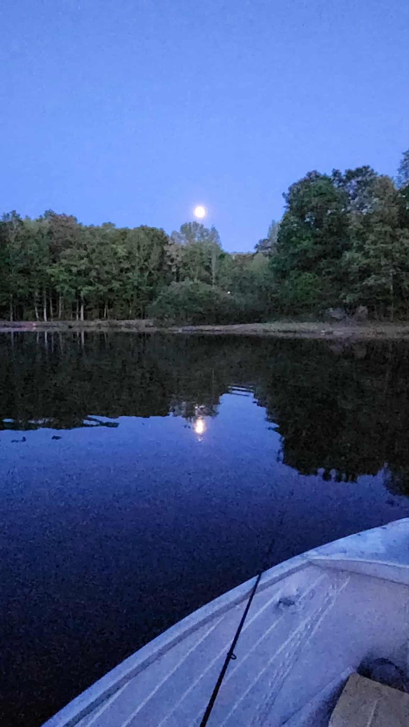 roommates in Julian Entire Place 1Bed.1Bath - cirtru.com