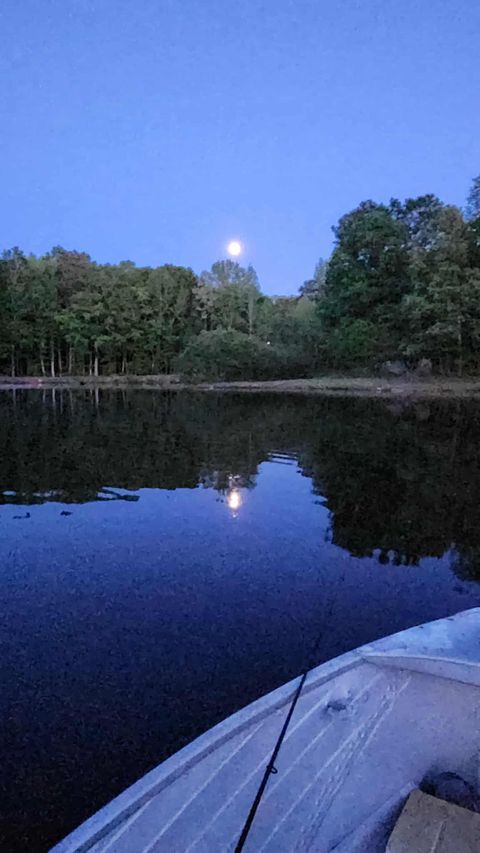 Entire Place 1Bed.1Bath