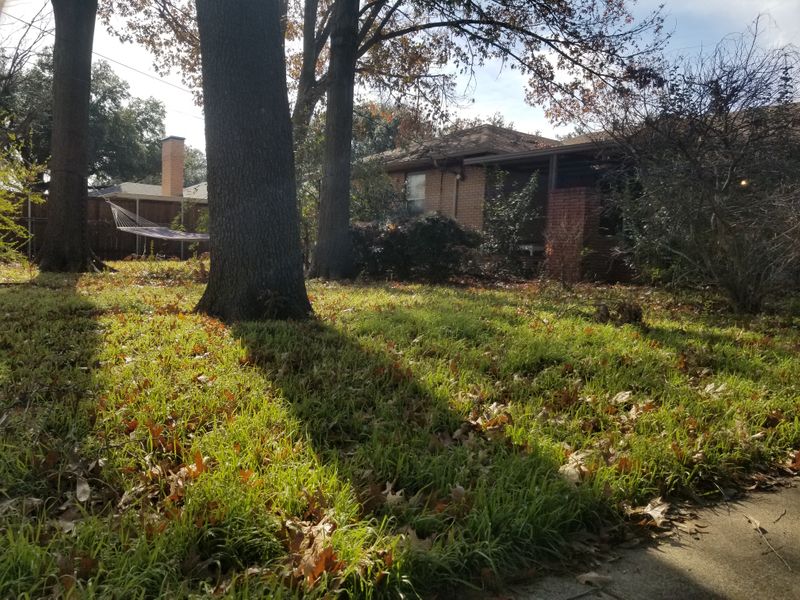 roommates in Garland Private Room in 4Bed.2Bath - cirtru.com