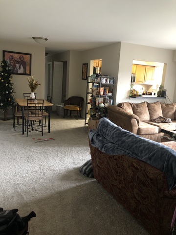 roommates in Idylwood Private Room in 3Bed.2Bath - cirtru.com